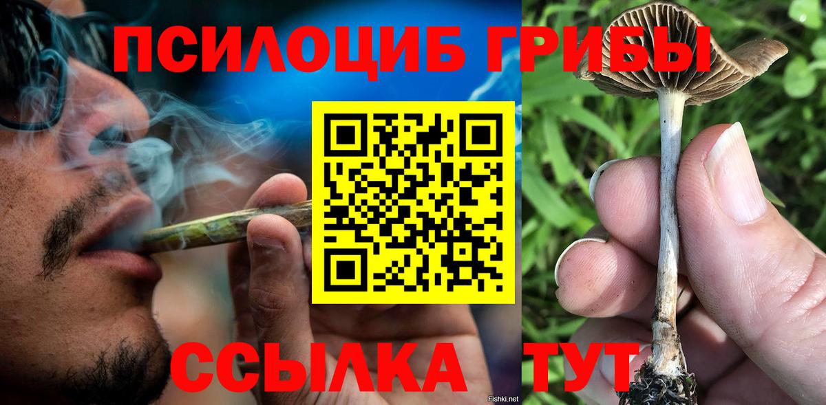 Псилоцибиновые грибы ЛСД  Вход с VPN  Свободный 