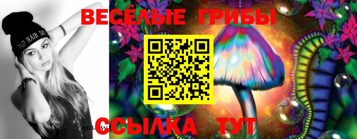 Псилоцибиновые грибы GOLDEN TEACHER Свободный